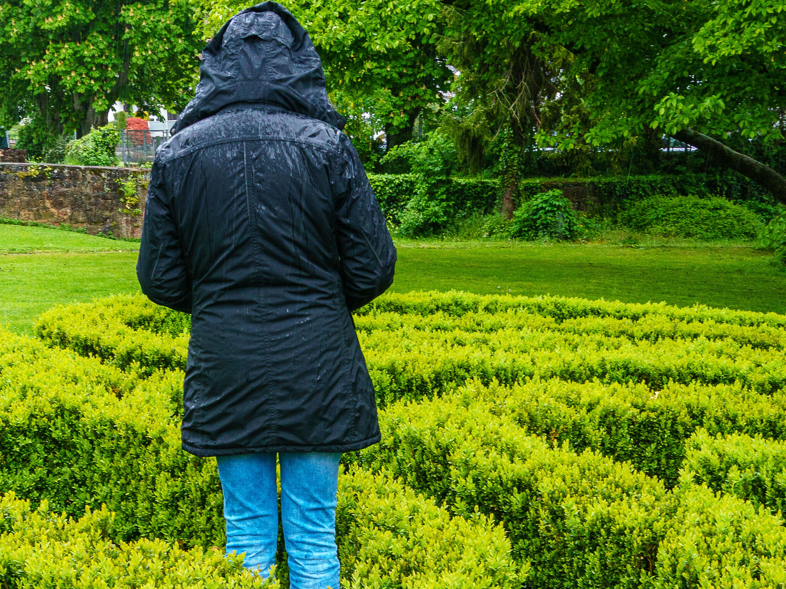 Eine Person läuft durch ein spiralförmiges Buchsbaum-Labyrinth in einem strahlend grünen Garten